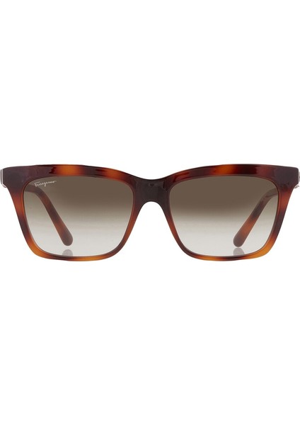 Sf 1027S 214 55 Salvatore Ferragamo Güneş Gözlüğü