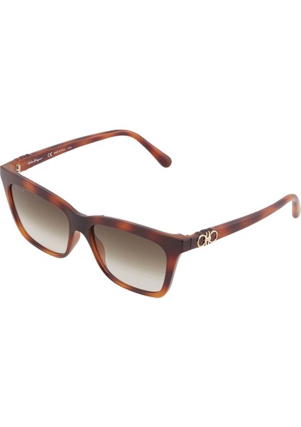 Sf 1027S 214 55 Salvatore Ferragamo Güneş Gözlüğü fırsatları