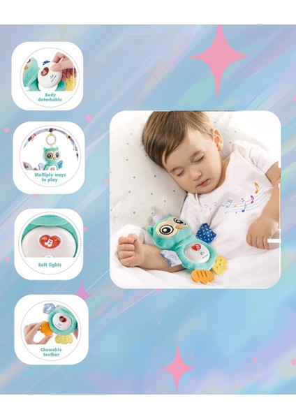 Işıklı ve Sesli Bebek Baykuşu fiyatları