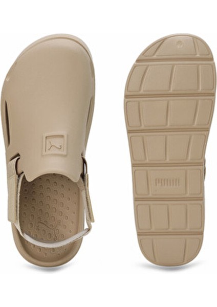 Shibui Katırları fiyatları