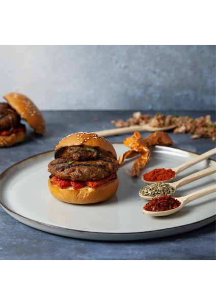 Burger Çeşnisi 200GR fiyatları