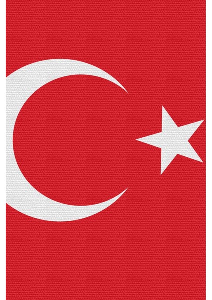 Türk Bayrağı Kanvas Tablo Ay Yıldız Tablo Türkiye fırsatları