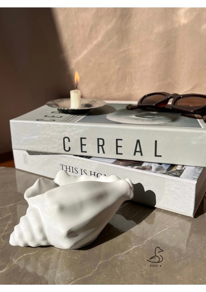 Deniz Kabuğu Görünümlü Dekoratif Obje 15-10 cm fiyatları