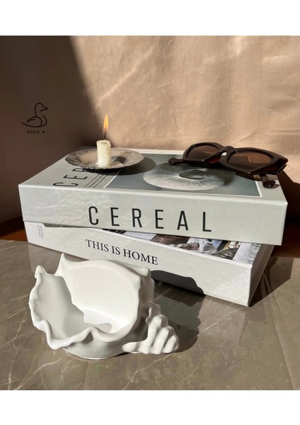 Deniz Kabuğu Görünümlü Dekoratif Obje 15-10 cm modelleri