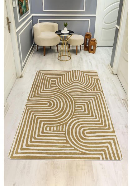 Modern Desenli Dijital Baskı Kaymaz Taban Halı H1127