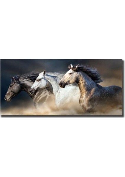 At Resimli Dekorasyon Kanvas Tablo modelleri