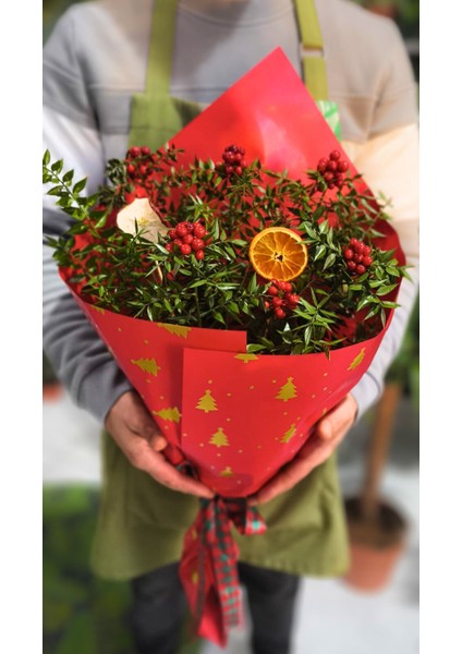 ❤️ Kokina Aşk Demeti Kırmızının Uğurlu Işıltısı ✨bereket ve Aşk Sembolü 🍀 Doğal Kokina Buketi fiyatları