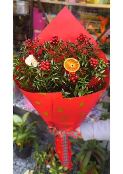 ❤️ Kokina Aşk Demeti Kırmızının Uğurlu Işıltısı ✨bereket ve Aşk Sembolü 🍀 Doğal Kokina Buketi modelleri