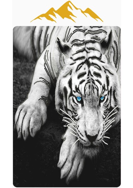 Kaplan Desenli Dijital Baskı Kaymaz Taban Halı H0133 modelleri