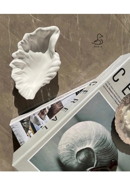 Deniz Kabuğu Görünümlü Taş Tozu Dekoratif Obje 15-10 cm