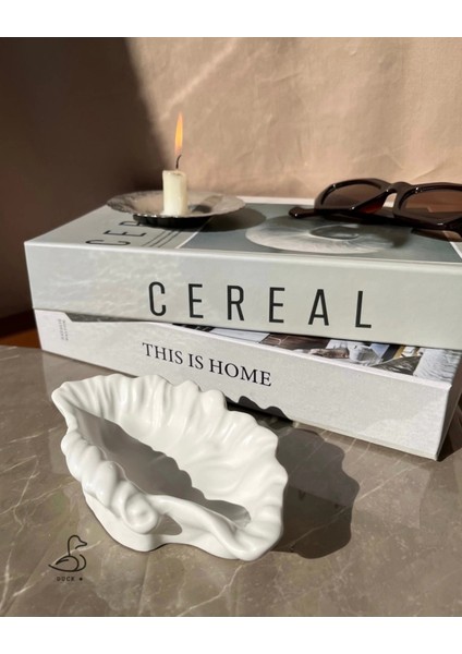 Deniz Kabuğu Görünümlü Taş Tozu Dekoratif Obje 15-10 cm fiyatları