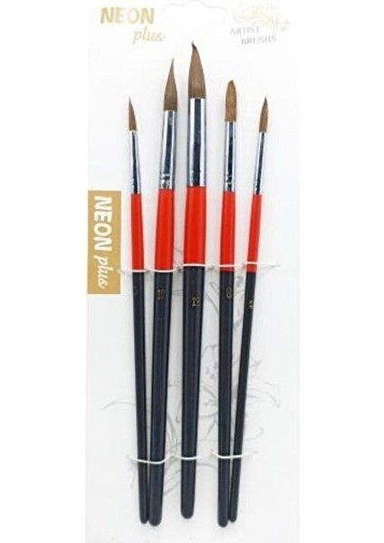 Guaj & Sulu Boya Ahşap Sap Doğal Kıl Yuvarlak Uçlu Fırça Seti 5'li