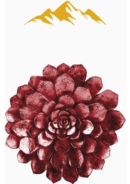 Kırmızı Lazer Çiçek Desenli Dijital Baskı Kaymaz Tabanlı Halı H0430 modelleri