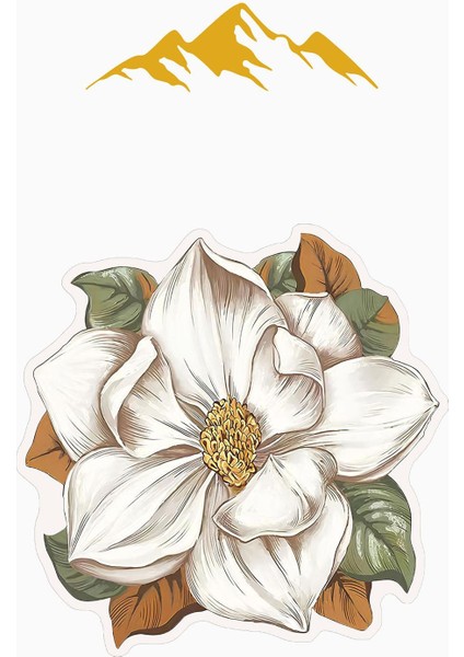 Modern Çiçek Desenli Lazer Kesim Dijital Baskı Kaymaz Tabanlı Halı H0433 modelleri