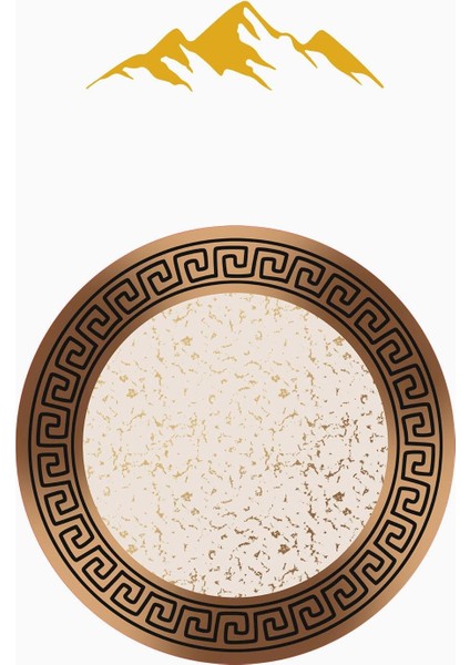 Yuvarlak Dijital Baskı Çerçeveli Modern Desenli Kaymaz Tabanlı Halı H0308 modelleri