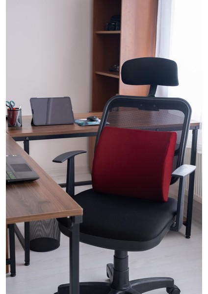 Visco Bel ve Sırt Minderi, Ortopedik Dik Duruş Yastığı, Konforlu Destek