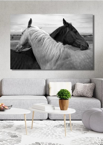 Siyah Beyaz Atlar Kanvas Tablo Salon Oturma Yatak Odası Ofis Kafe Antre Için Duvar Dekoru modelleri