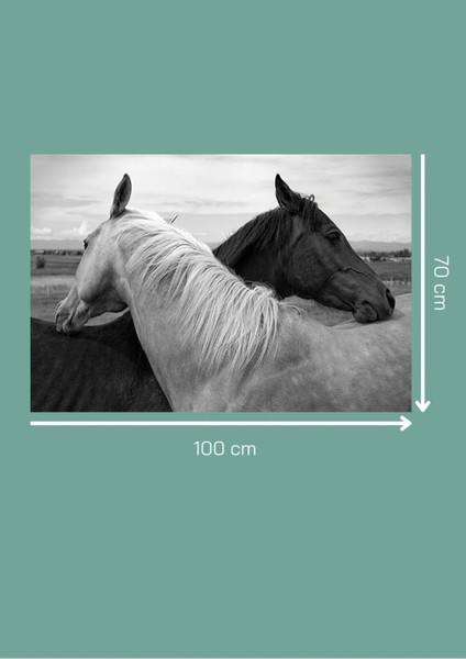 Siyah Beyaz Atlar Kanvas Tablo Salon Oturma Yatak Odası Ofis Kafe Antre Için Duvar Dekoru fırsatları