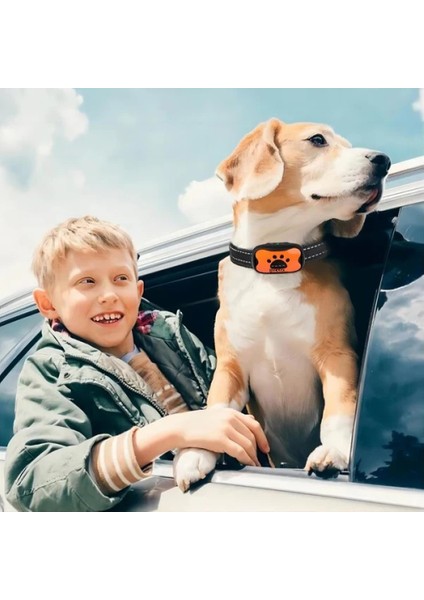 Köpek Havlama Tasması Şarjlı Köpek Eğitim Tasması– Ses ve Titreşimli Şoksuz Eğitim Cihazı fırsatları