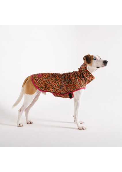 Raincoat Selva - Yağmurluk - Farm Rio × Zee.dog