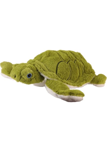 Bfs 6299 Deniz Kaplumbağa