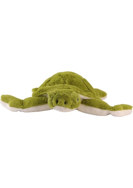 Bfs 6299 Deniz Kaplumbağa fiyatları