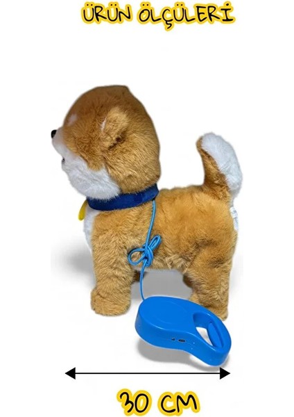 Uzaktan Kumandalı Sesli Müzikli Havlayan Yürüyen Ses Tekrar Etme Özellikli 30 cm Peluş Köpek