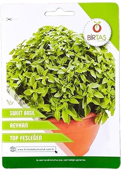 Top Fesleğen Tohumu