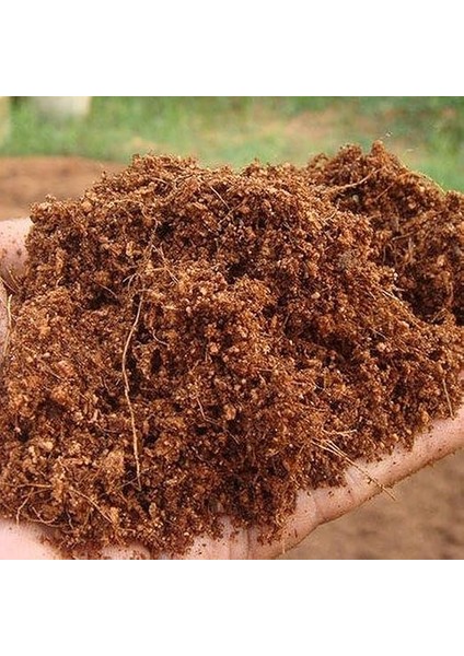 Çiçekçilik 60-65 Lt Sıkıştırılmış Hindistan Cevizi Torfu - 4-5 kg Blok Ithal Organik Cocopeat Kokopit modelleri