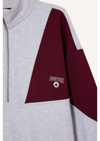 Nba Boston Celtics Oversize Fit Yarım Fermuarlı Modal Sporcu SWEATSHIRT G5482AX25AU fiyatları