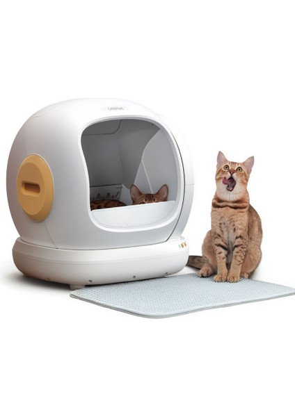 Elekli ve Hazneli Kedi Kumu Paspası | Tüm Kedi Tuvaletleri Için Uyumlu | Kaliteli Dolgu Malzeme, Hijyenik, Yıkanabilir fırsatları