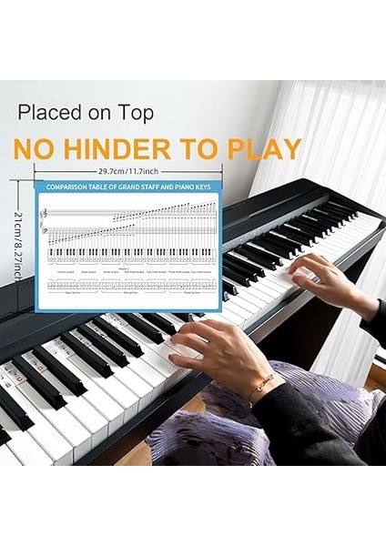 Müzik Teorisi Poster Seti, Piyano Klavyesi ve Nota Sistemi Kılavuzu ve Piyano Klavyesi Notaları Için Renkli Etiketler (Labels And Theory Poster) fırsatları