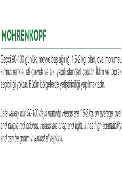 Tarım Yerli Mor Lahana Mohrenkopf 1000 Adet Tohum fiyatları