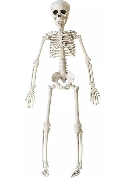 Halloween Iskelet Şekil Alabilen 40 cm fırsatları