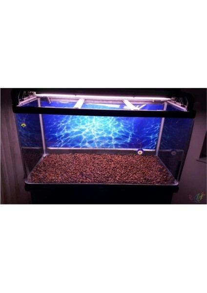 Akvaryum Taşı 1 kg 10-15 mm Akvaryum Pomzası Teraryum Taşı Kırmızı Pomza Lav Taşı Volkanik Cüruf fiyatları