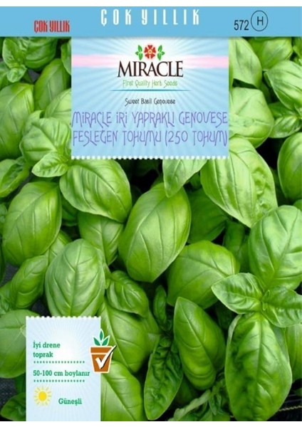 Tohum Iri Yapraklı Genovese Fesleğen (250 Tohum)