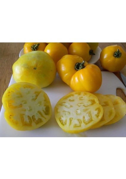 Look Nadir Dev Italyan Sarı Pileli Domates Tohumu 5 Tohum TH-THMCMTHM02 fiyatları