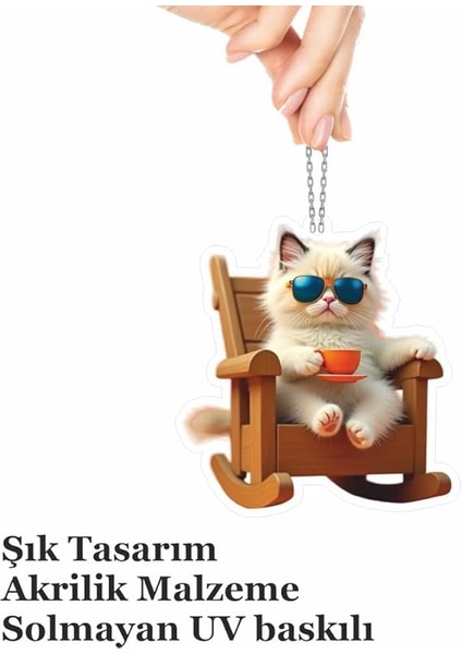 Ayna Süsü Keyifli Kedi, Pleksi Malzeme, Uv Baskılı 008 fırsatları