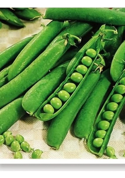 Tarım Ata Tohumu Yerli Bezelye 50 Adet Tohum