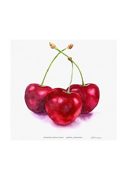 Aqua 1862 24 ml – Profesyonel Kalitede Sulu Boya – Renk Tonu Indanthron Mavisi indirimleri