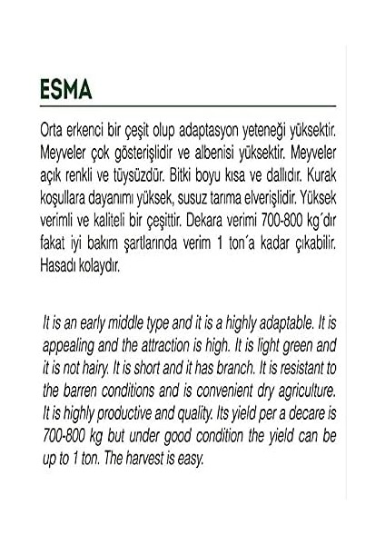 Tarım Ata Tohumu Yerli Küçük Bamya 100 Adet Tohum fiyatları