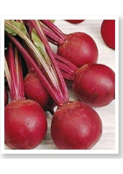 Tarım Yerli Doğal Kırmızı Pancar Tohumu 100 Adet Tohum