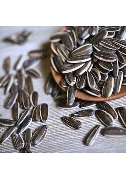 Tarım Çerezlik Ayçiçek Tohumu 50 Adet Tohum modelleri