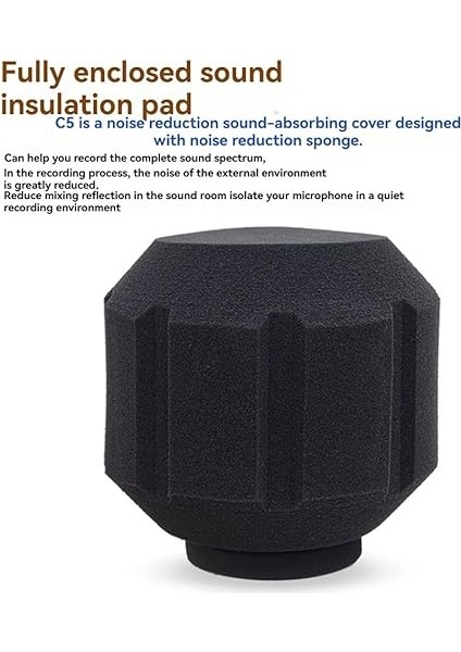 C5 Mikrofon Rüzgar Kalkanı Akustik Filtre Profesyonel Kondenser Mic Stüdyo Sünger Geçirmez Koruma Kapağı A modelleri