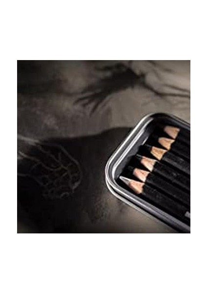 Kömür Kalemleri, Çizim ve Yazma, 6'lı Set, Açık, Orta, Koyu ve Renkli Kömür, Karıştırma ve Bulaşma Için Ideal, Kalemtıraş Dahil, Profesyonel Kalite, 0700838 indirimleri