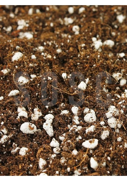 Lıght Mıx Ithal Sphangum Torfu Cocopeat Perlit Özel Karışım Saksı Harcı Çiçek ve Bitki Toprağı 5 Lt