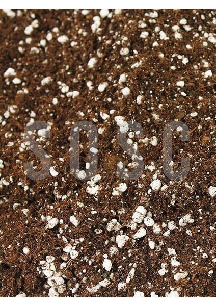 Lıght Mıx Ithal Sphangum Torfu Cocopeat Perlit Özel Karışım Saksı Harcı Çiçek ve Bitki Toprağı 5 Lt fiyatları