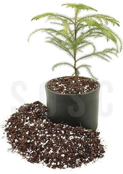 Lıght Mıx Ithal Sphangum Torfu Cocopeat Perlit Özel Karışım Saksı Harcı Çiçek ve Bitki Toprağı 5 Lt modelleri