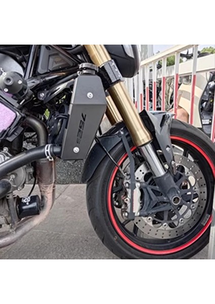 Motosiklet Su Tankı Sol Sağ Koruma Dekoratif Plaka Su Deposu Radyatör Koruyucu Kapak Benelli 752S Bj 750GS (Yurt Dışından) fırsatları