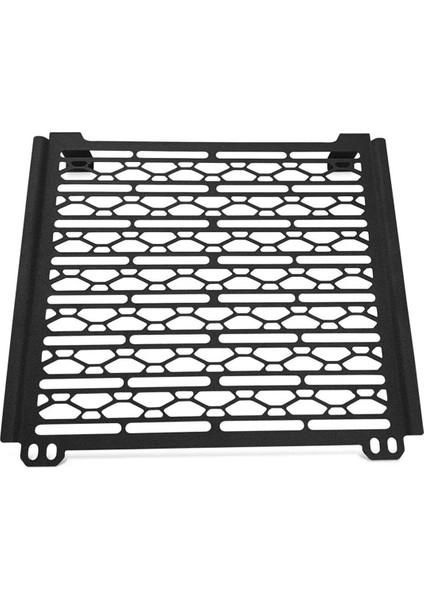 Motosiklet Aksesuarları Radyatör Koruma Koruyucu Grille Harley Için Su Deposu Koruması X350 x 350 2023 2024 (Yurt Dışından)